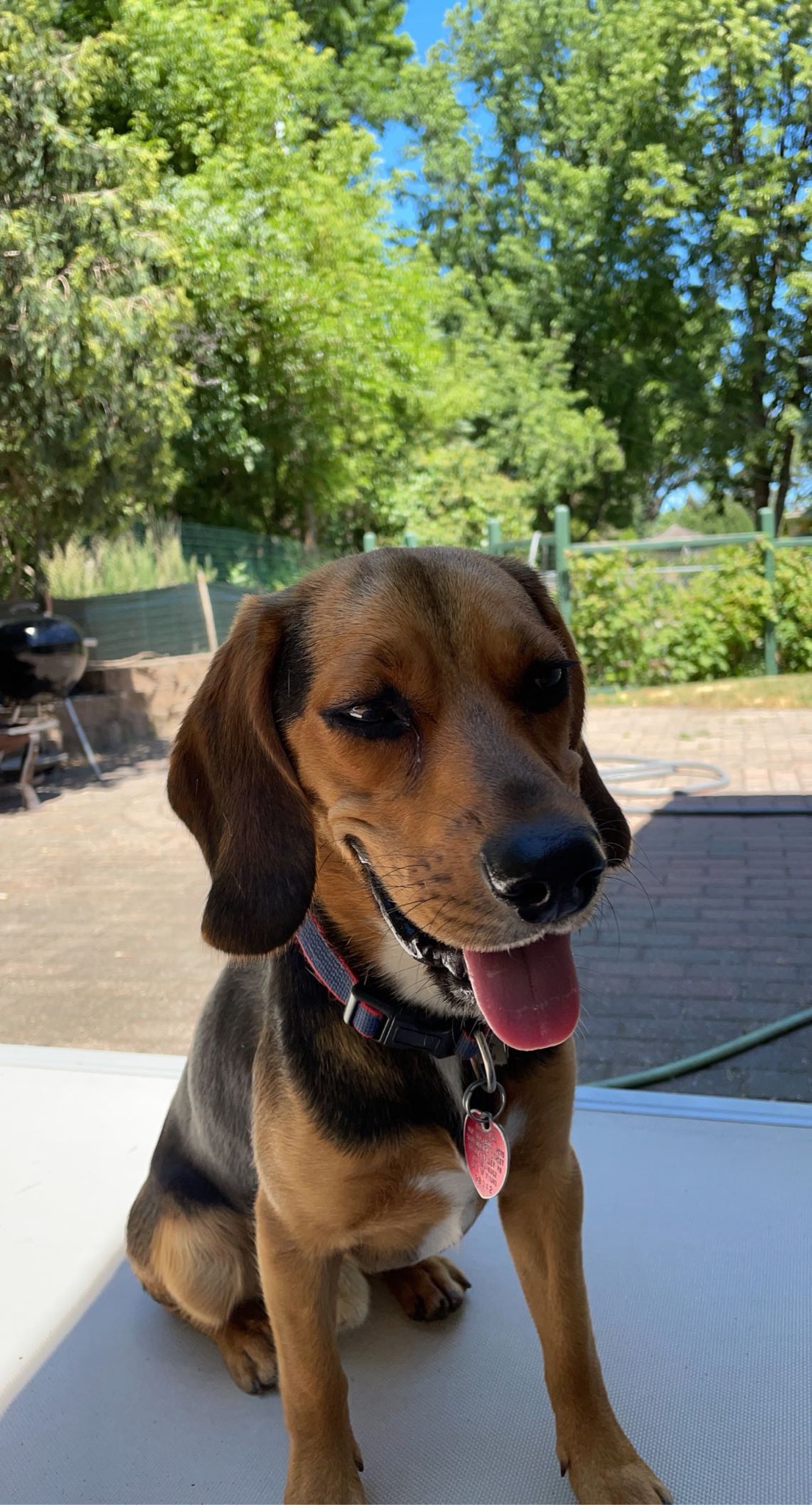 Sota, Chief Morale Officer